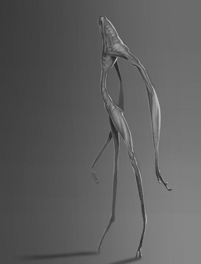 Progenitors